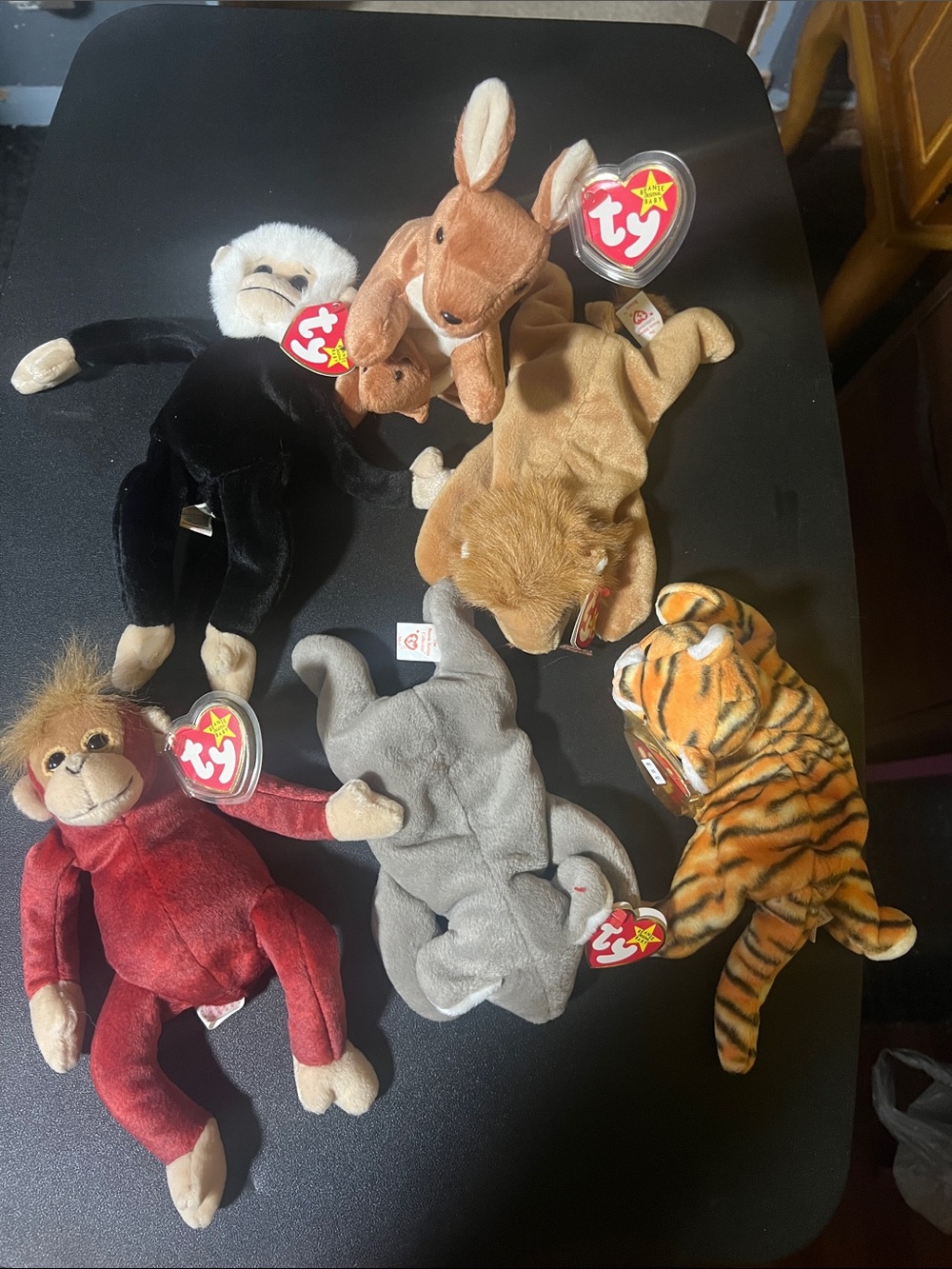 TY Beanie Babies Plush Animal Set - Assorted Colors (6)